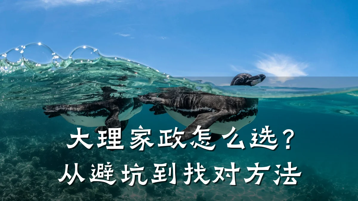 大理家政怎么选?从避坑到找对方法