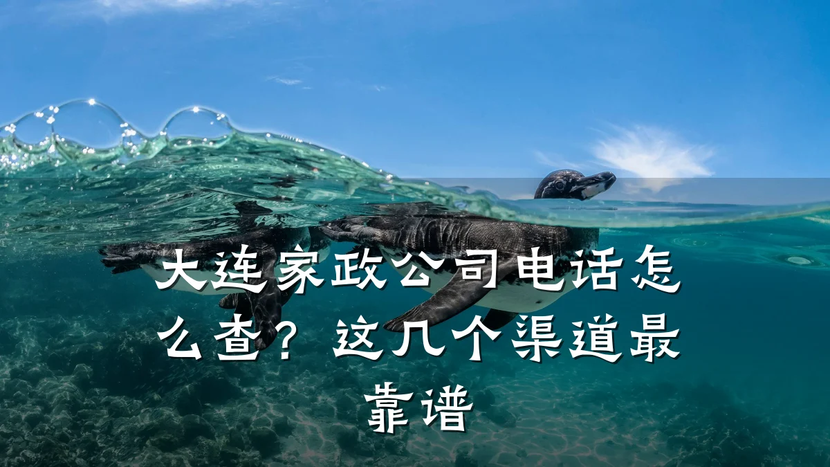 大连家政公司电话怎么查?这几个渠道最靠谱