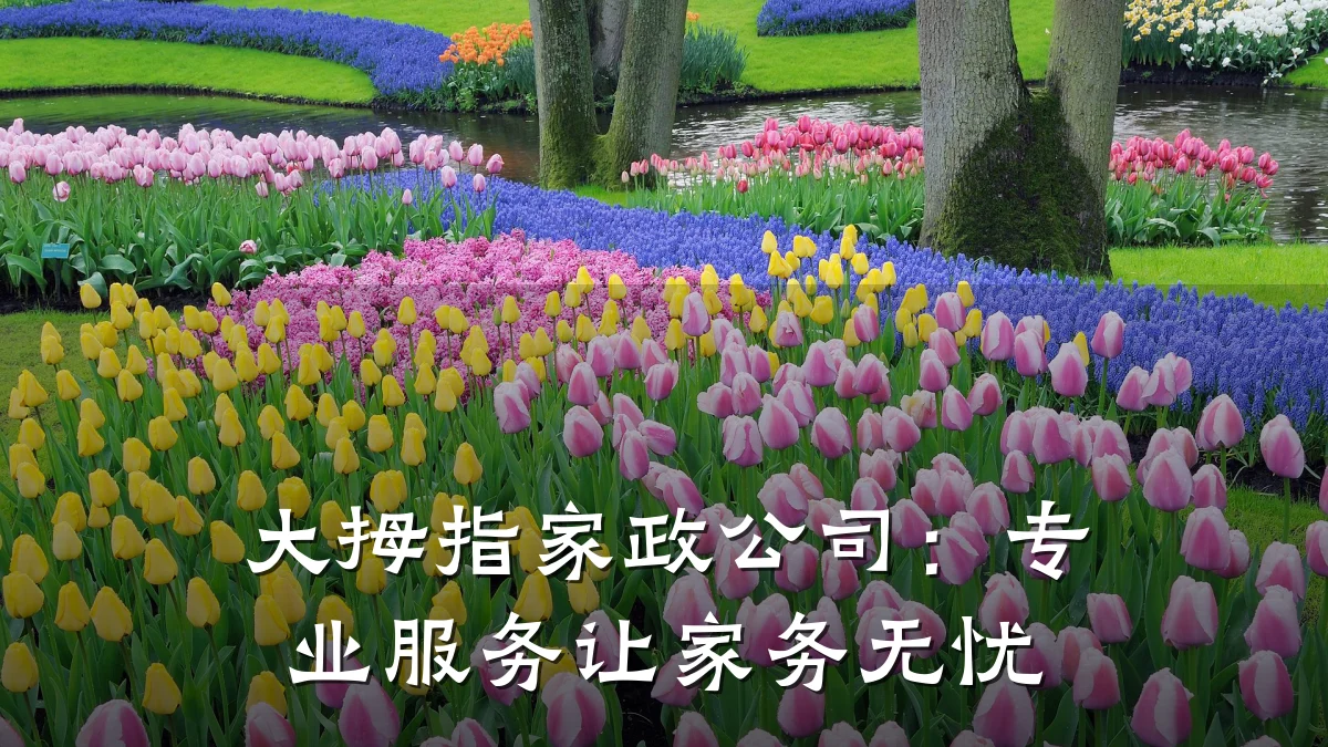 大拇指家政公司:专业服务让家务无忧