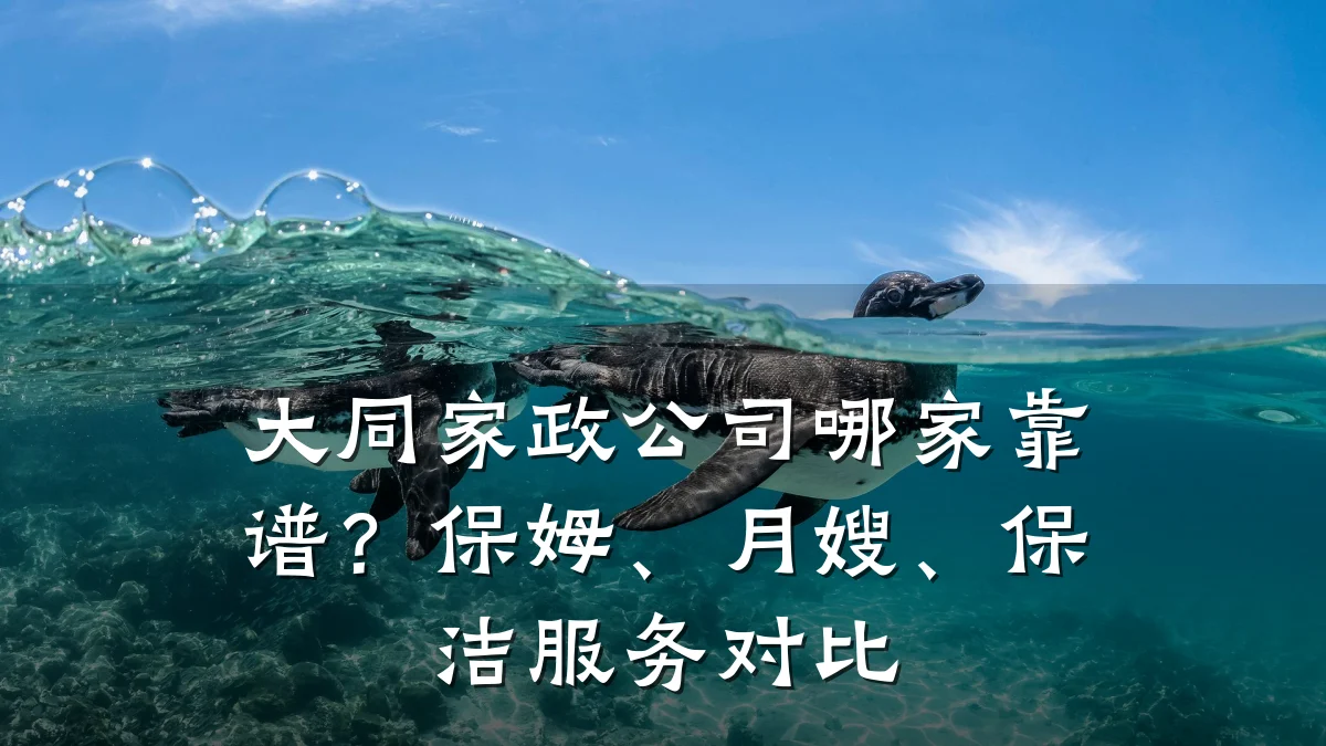 大同家政公司哪家靠谱?保姆、月嫂、保洁服务对比