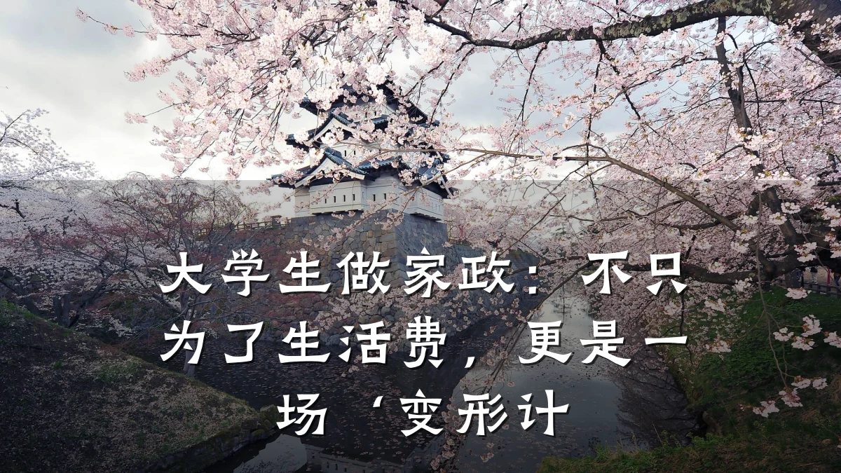 大学生做家政:不只为了生活费,更是一场‘变形计