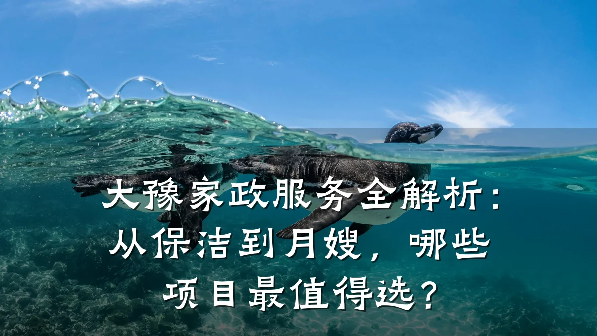 大豫家政服务全解析：从保洁到月嫂，哪些项目最值得选？