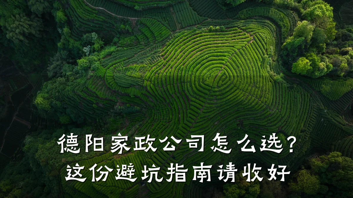 德阳家政公司怎么选?这份避坑指南请收好