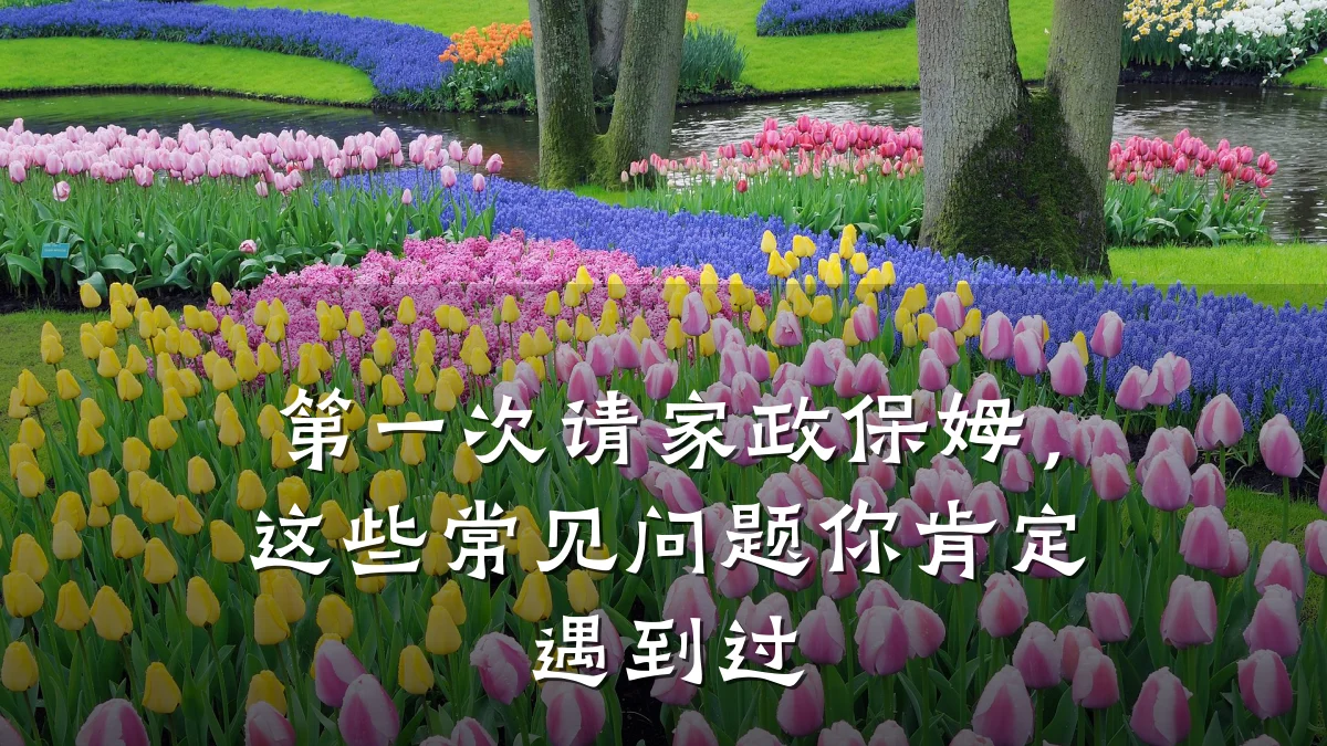 第一次请家政保姆,这些常见问题你肯定遇到过