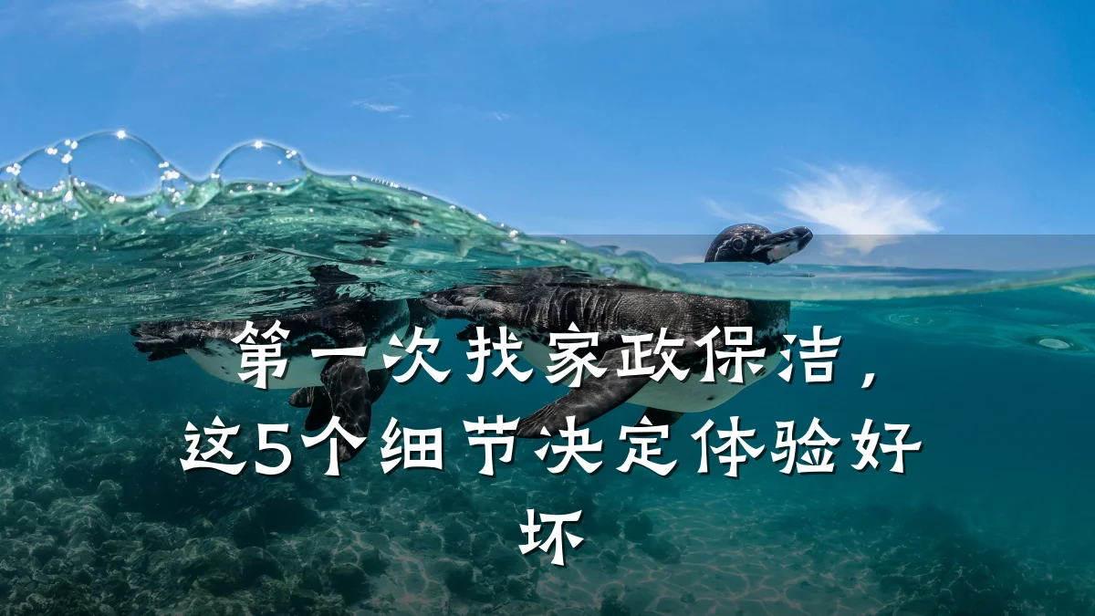 第一次找家政保洁，这5个细节决定体验好坏