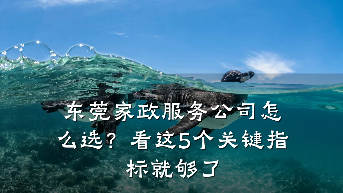 东莞家政服务公司怎么选?看这5个关键指标就够了