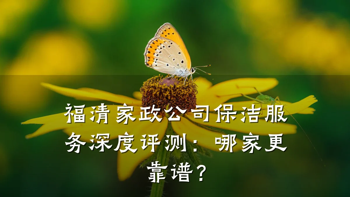 福清家政公司保洁服务深度评测:哪家更靠谱?