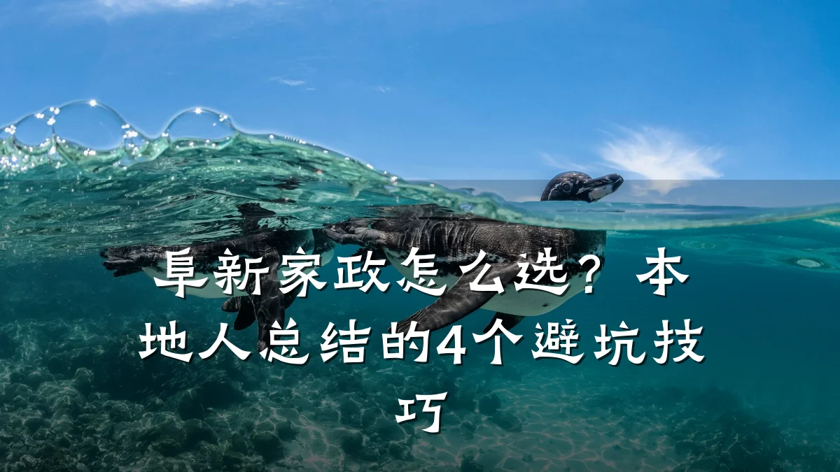 阜新家政怎么选?本地人总结的4个避坑技巧