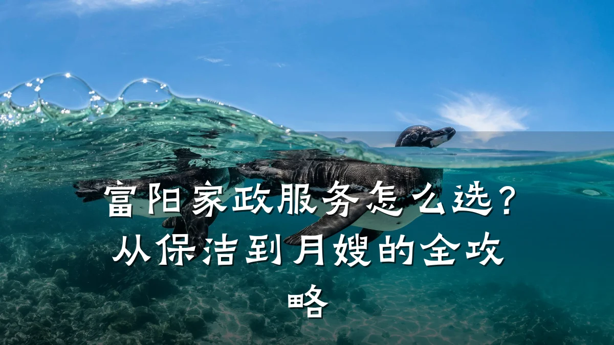富阳家政服务怎么选?从保洁到月嫂的全攻略