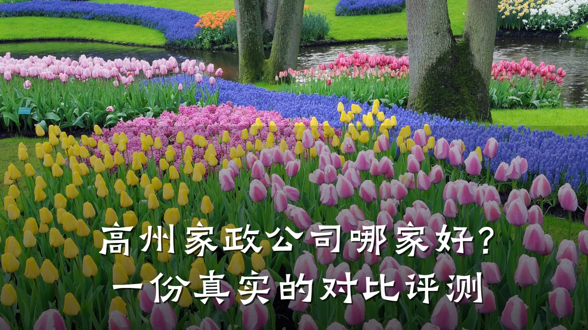 高州家政公司哪家好?一份真实的对比评测