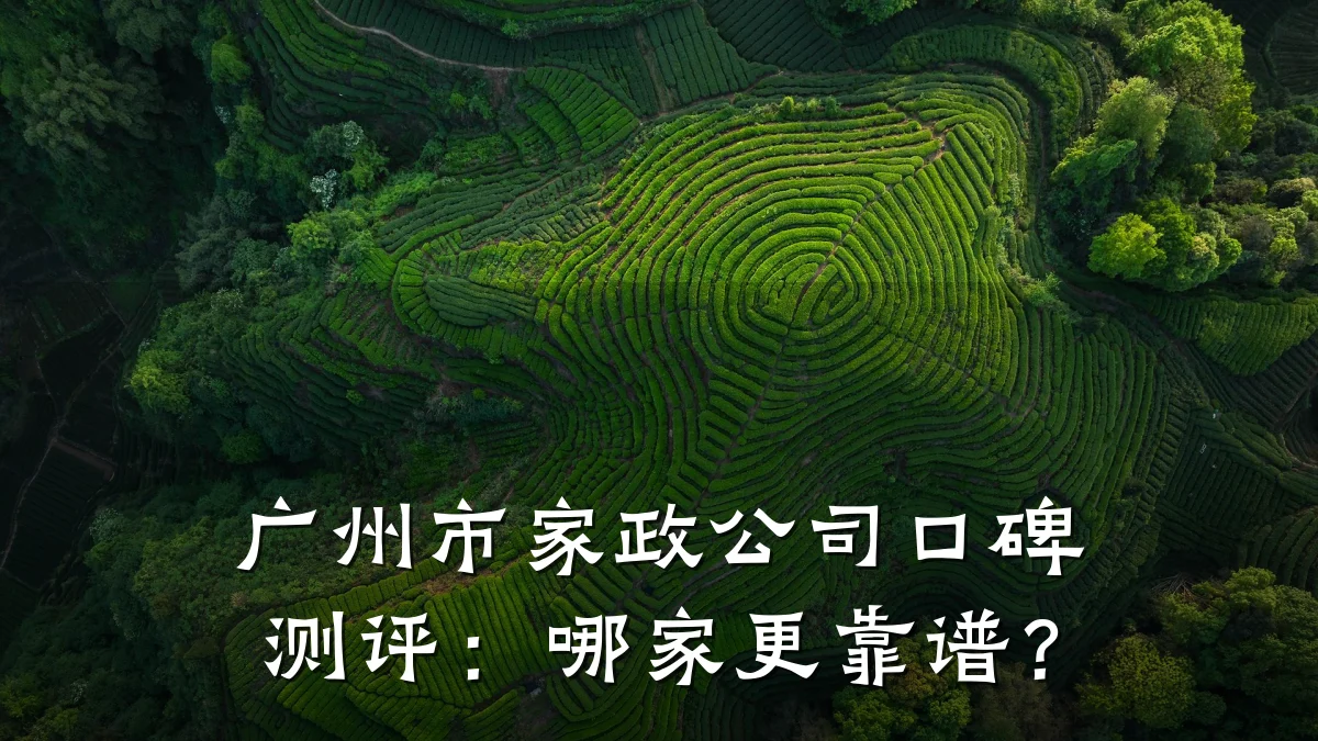 广州市家政公司口碑测评：哪家更靠谱？