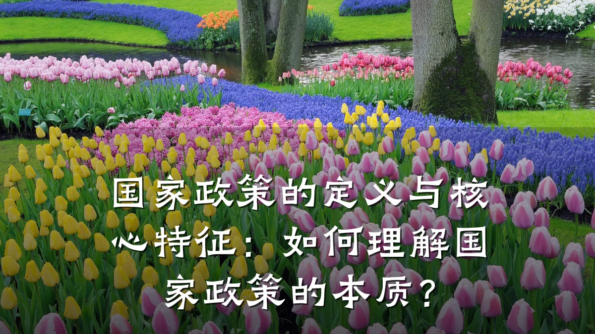 国家政策的定义与核心特征:如何理解国家政策的本质?