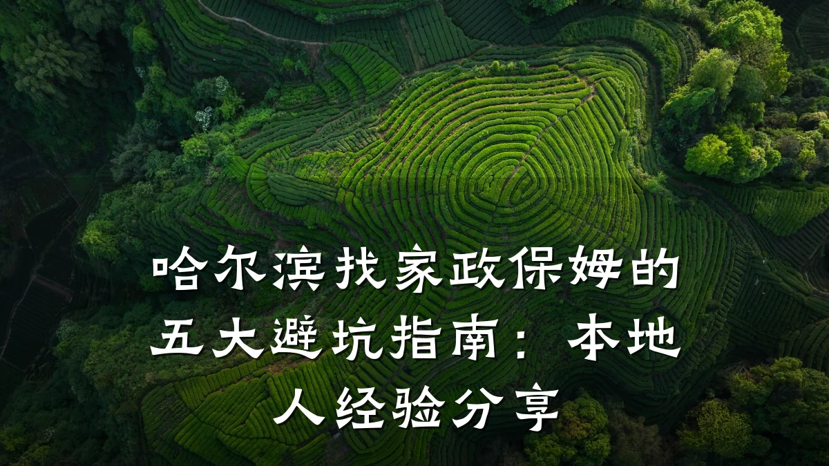 哈尔滨找家政保姆的五大避坑指南:本地人经验分享