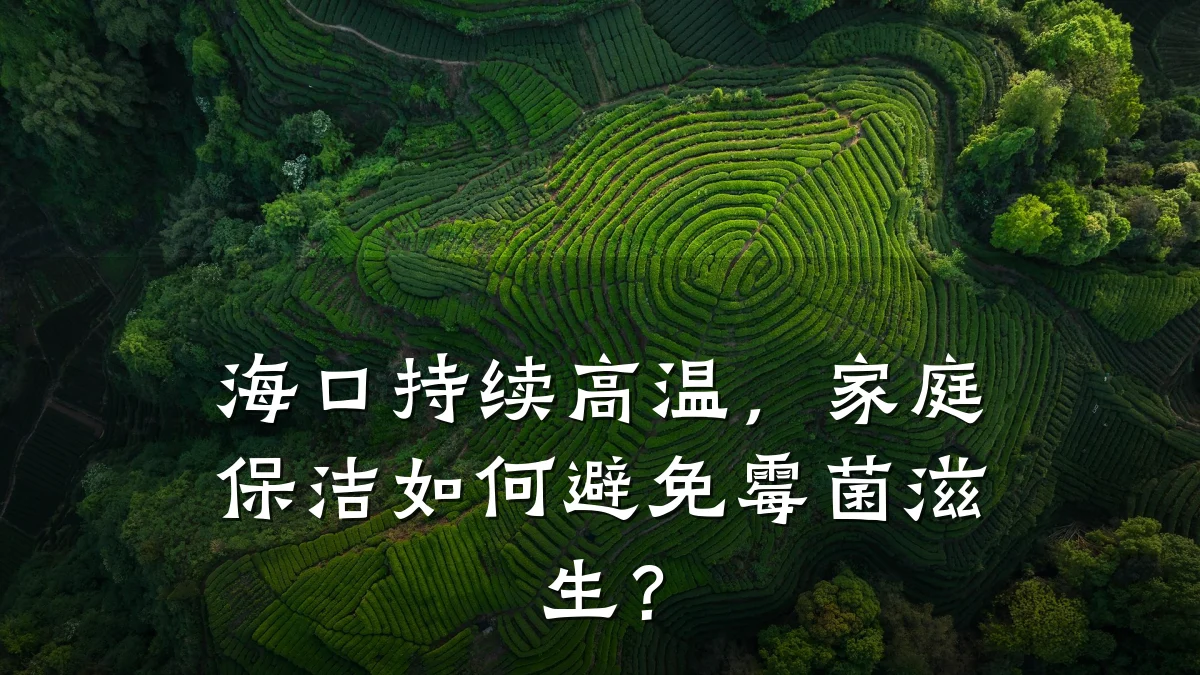 海口持续高温,家庭保洁如何避免霉菌滋生?