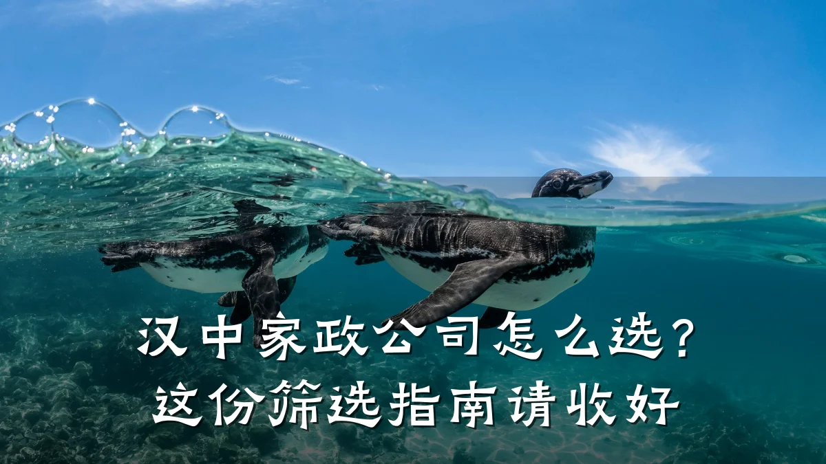 汉中家政公司怎么选？这份筛选指南请收好