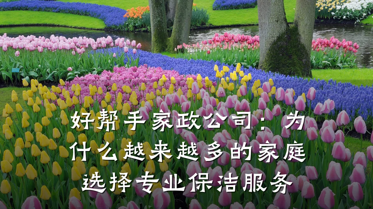 好帮手家政公司：为什么越来越多的家庭选择专业保洁服务