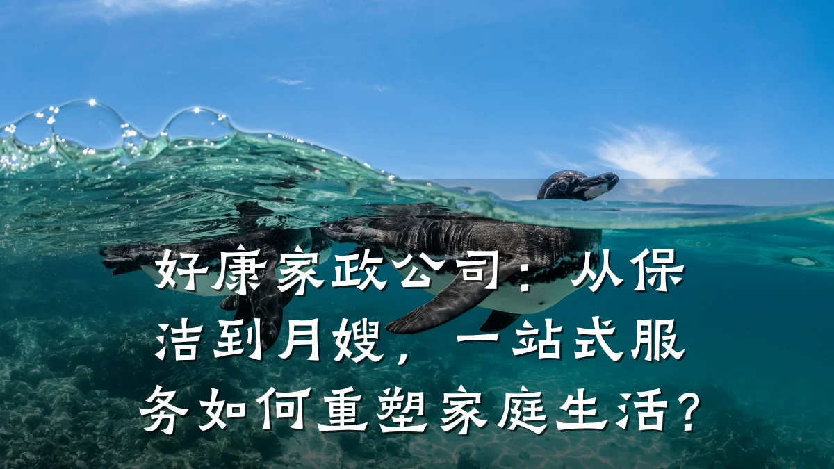好康家政公司:从保洁到月嫂,一站式服务如何重塑家庭生活?