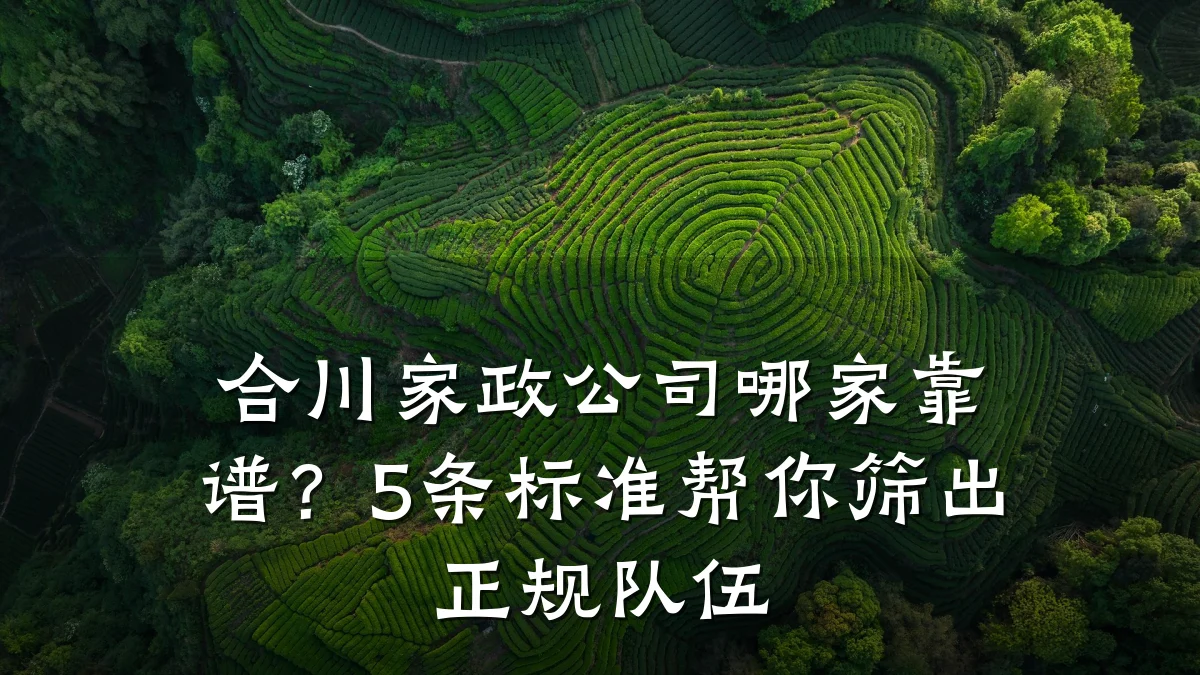 合川家政公司哪家靠谱?5条标准帮你筛出正规队伍