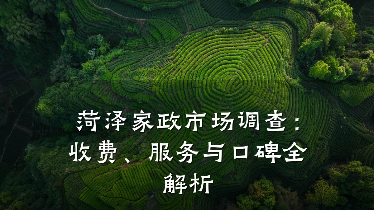 菏泽家政市场调查:收费、服务与口碑全解析
