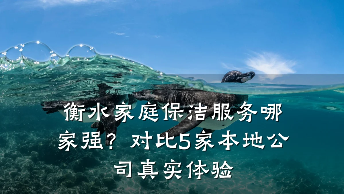 衡水家庭保洁服务哪家强?对比5家本地公司真实体验