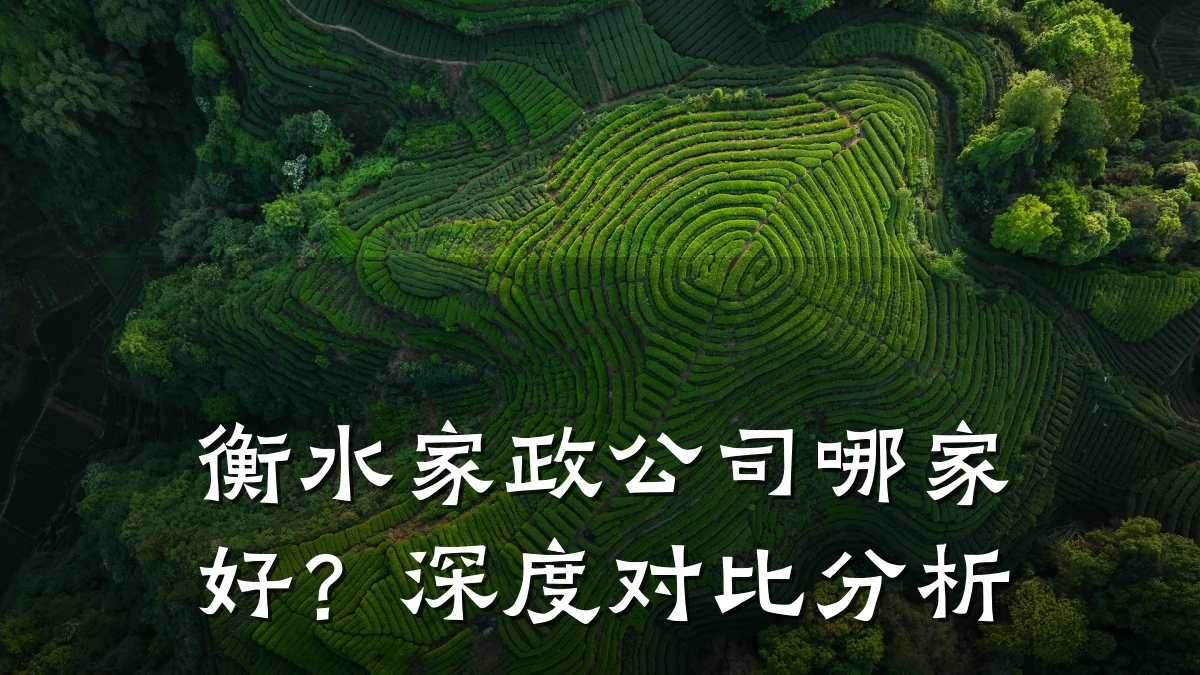 衡水家政公司哪家好？深度对比分析