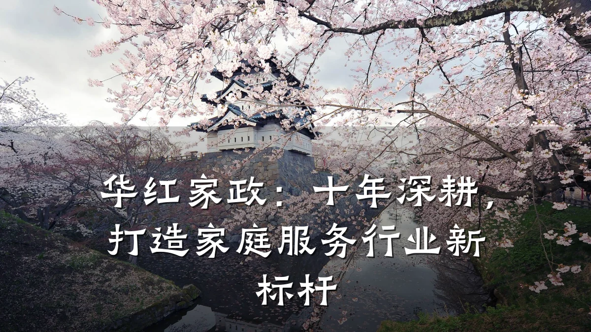 华红家政：十年深耕，打造家庭服务行业新标杆