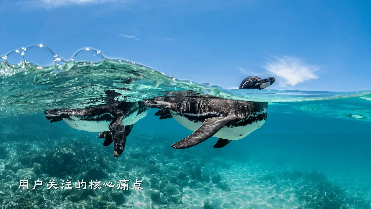 用户关注的核心痛点