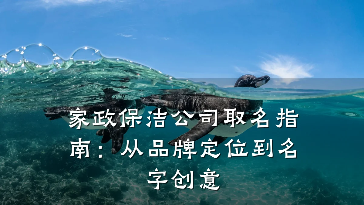 家政保洁公司取名指南:从品牌定位到名字创意