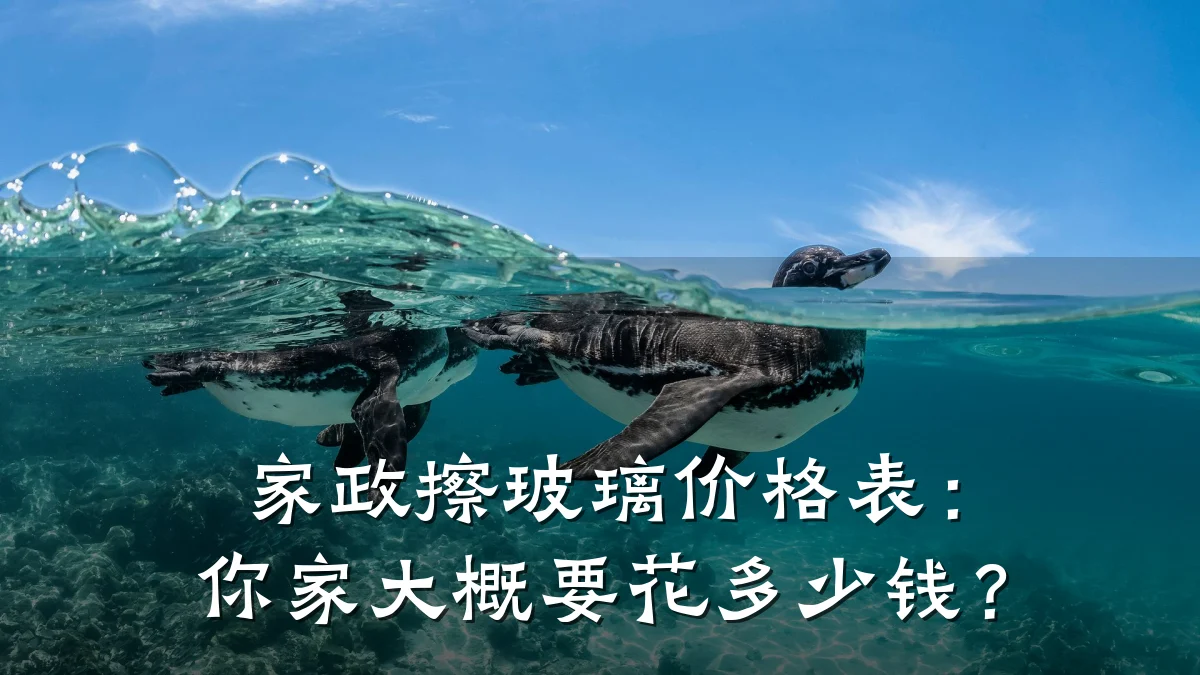 家政擦玻璃价格表:你家大概要花多少钱?