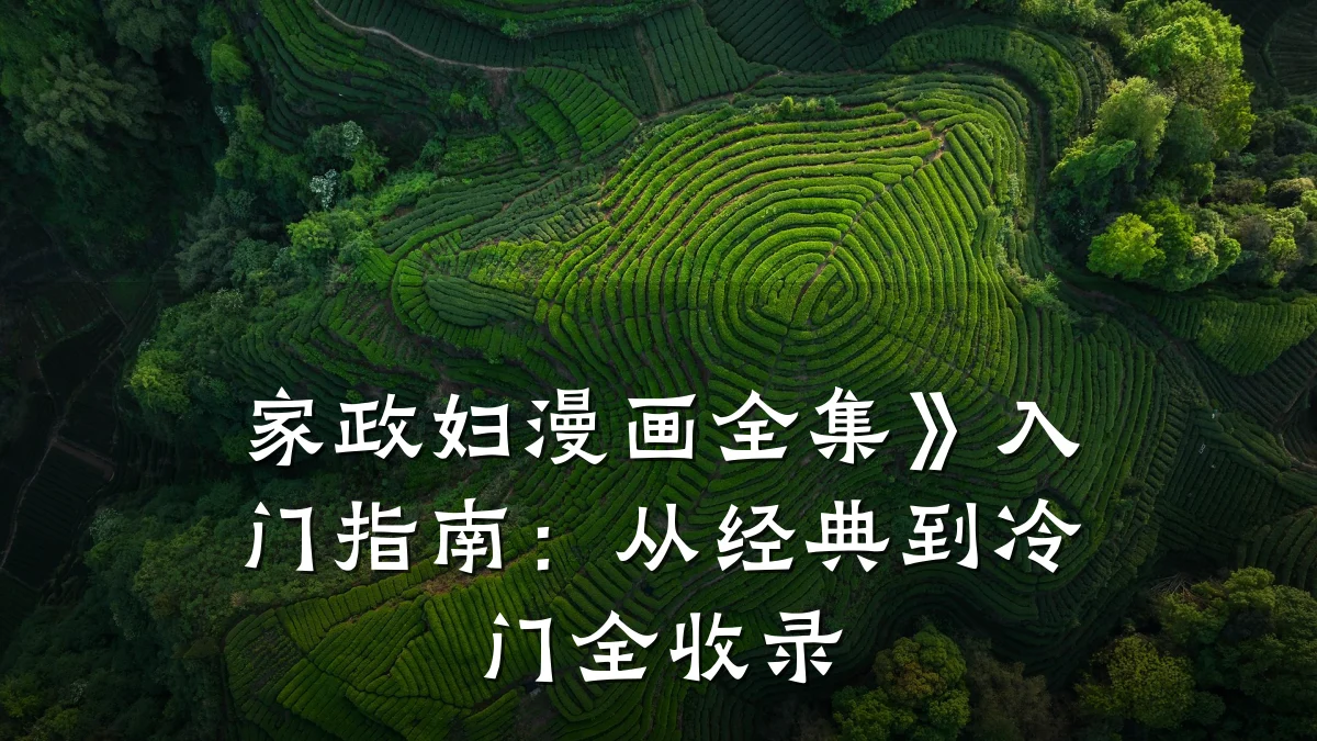 家政妇漫画全集》入门指南：从经典到冷门全收录