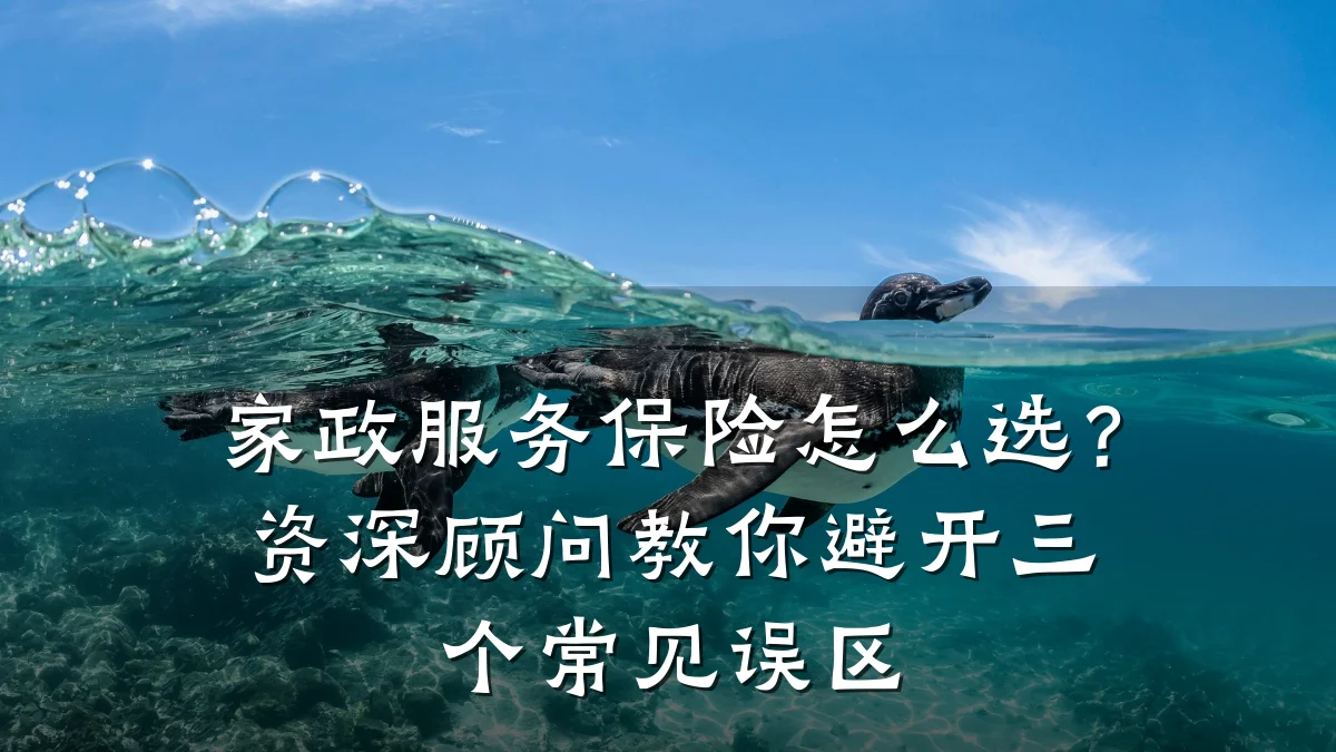 家政服务保险怎么选?资深顾问教你避开三个常见误区