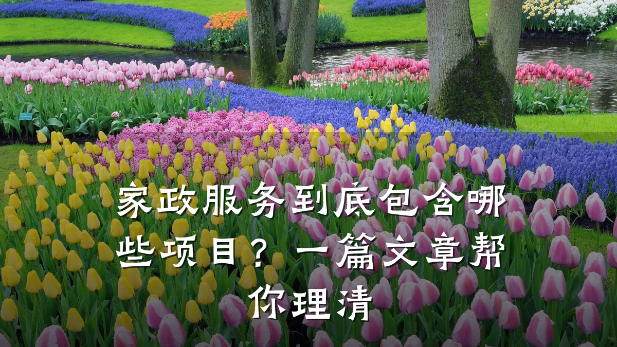 家政服务到底包含哪些项目?一篇文章帮你理清
