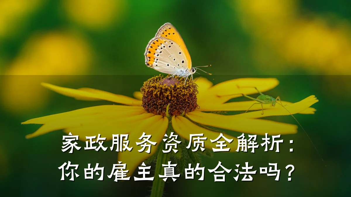 家政服务资质全解析:你的雇主真的合法吗?
