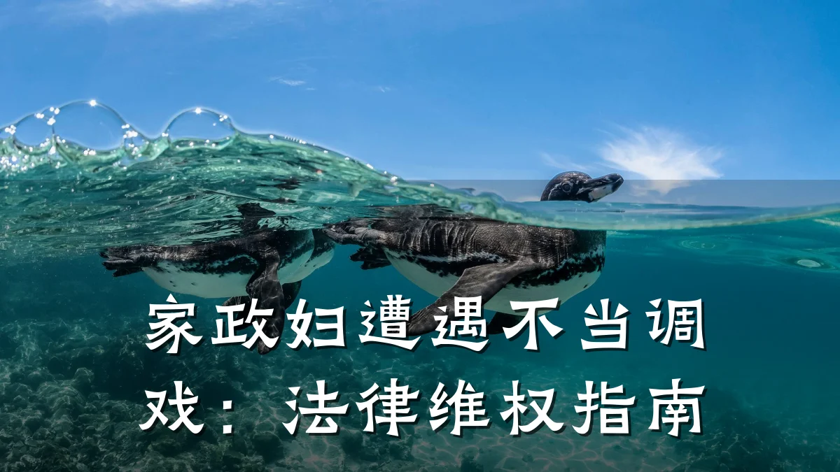 家政妇遭遇不当调戏:法律维权指南