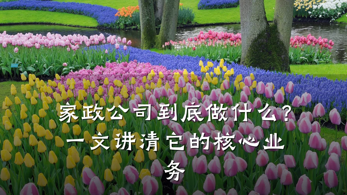 家政公司到底做什么？一文讲清它的核心业务
