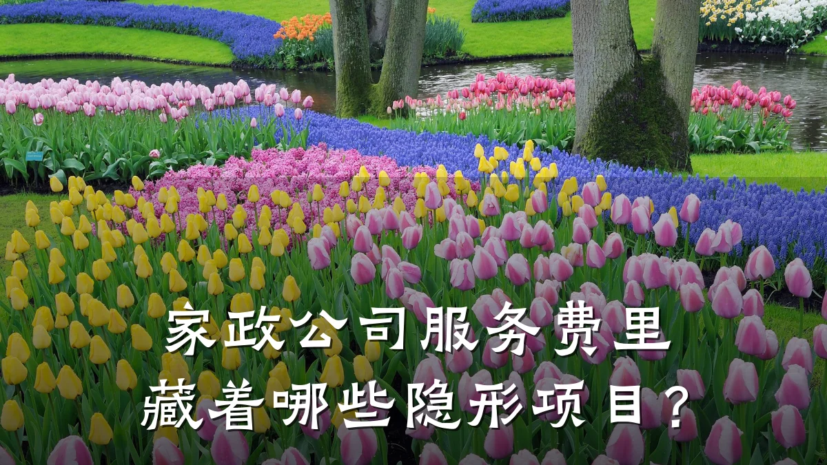 家政公司服务费里藏着哪些隐形项目?