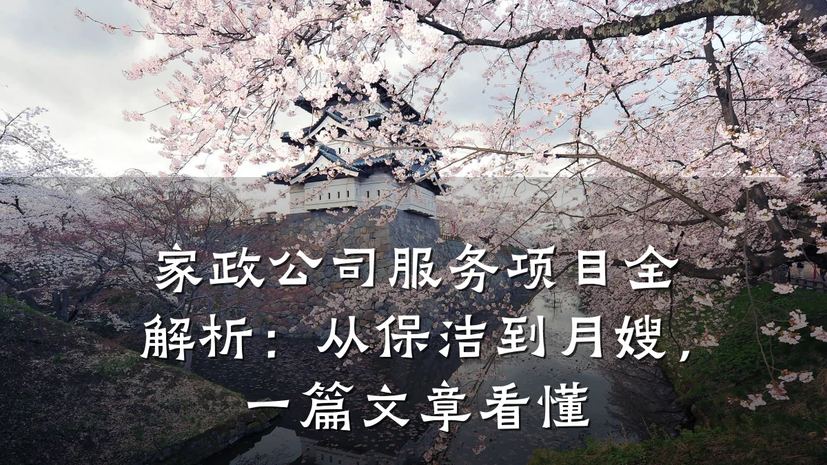 家政公司服务项目全解析:从保洁到月嫂,一篇文章看懂