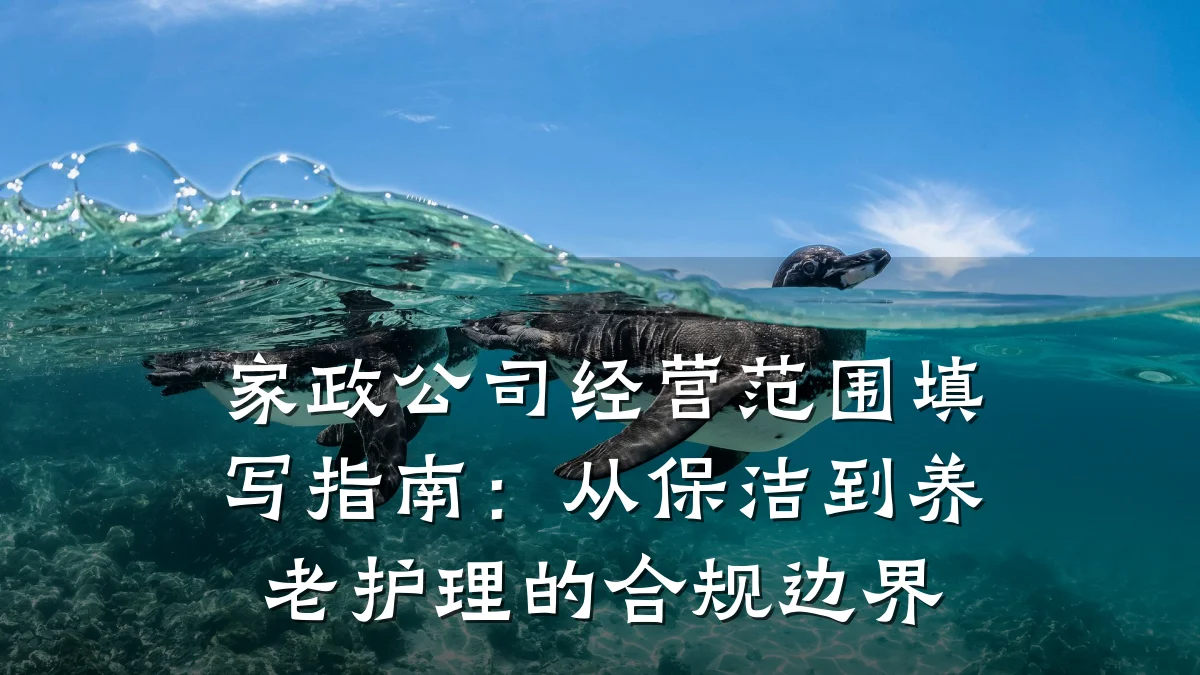 家政公司经营范围填写指南：从保洁到养老护理的合规边界