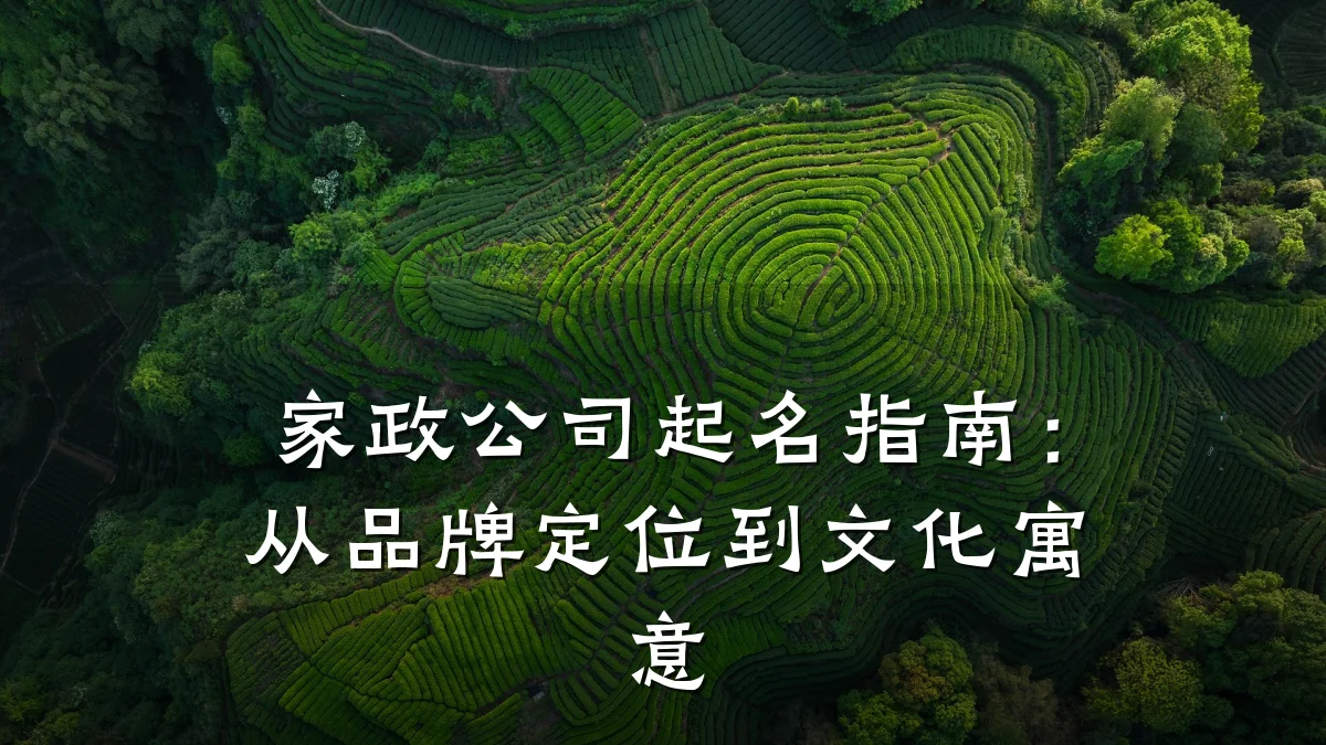 家政公司起名指南:从品牌定位到文化寓意