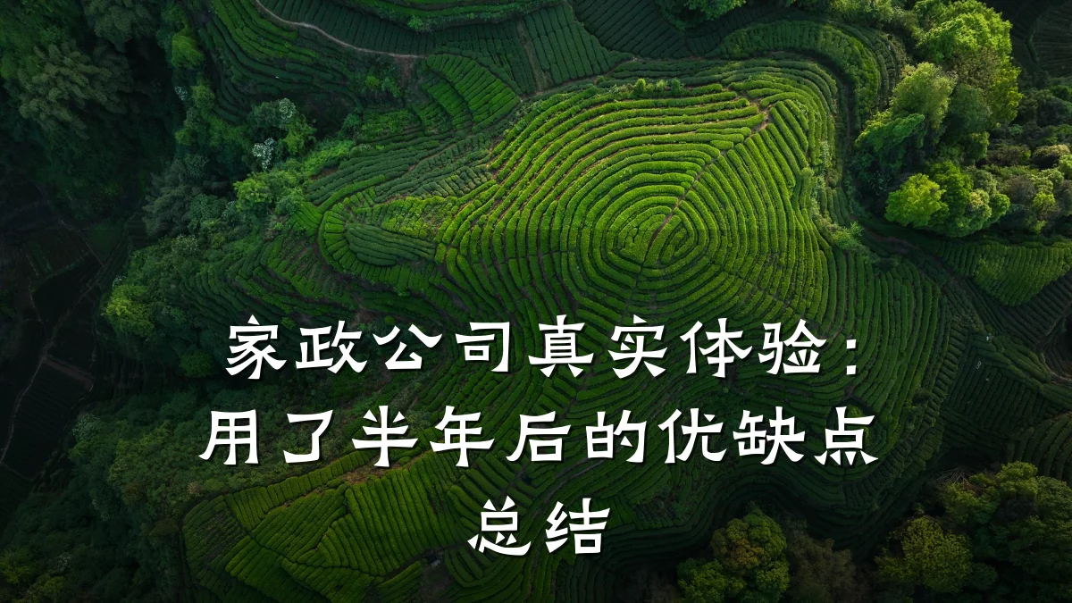 家政公司真实体验:用了半年后的优缺点总结