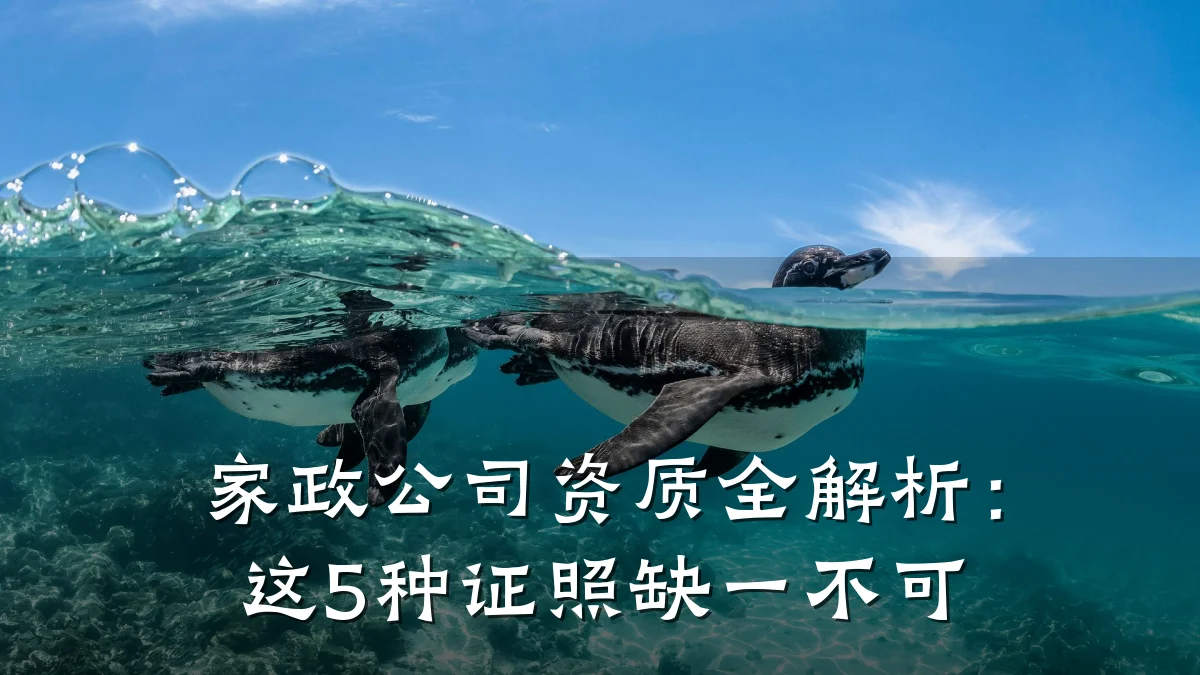 家政公司资质全解析:这5种证照缺一不可