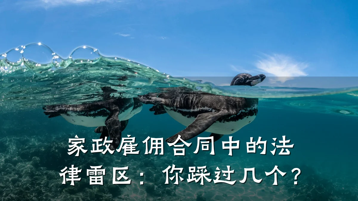 家政雇佣合同中的法律雷区:你踩过几个?