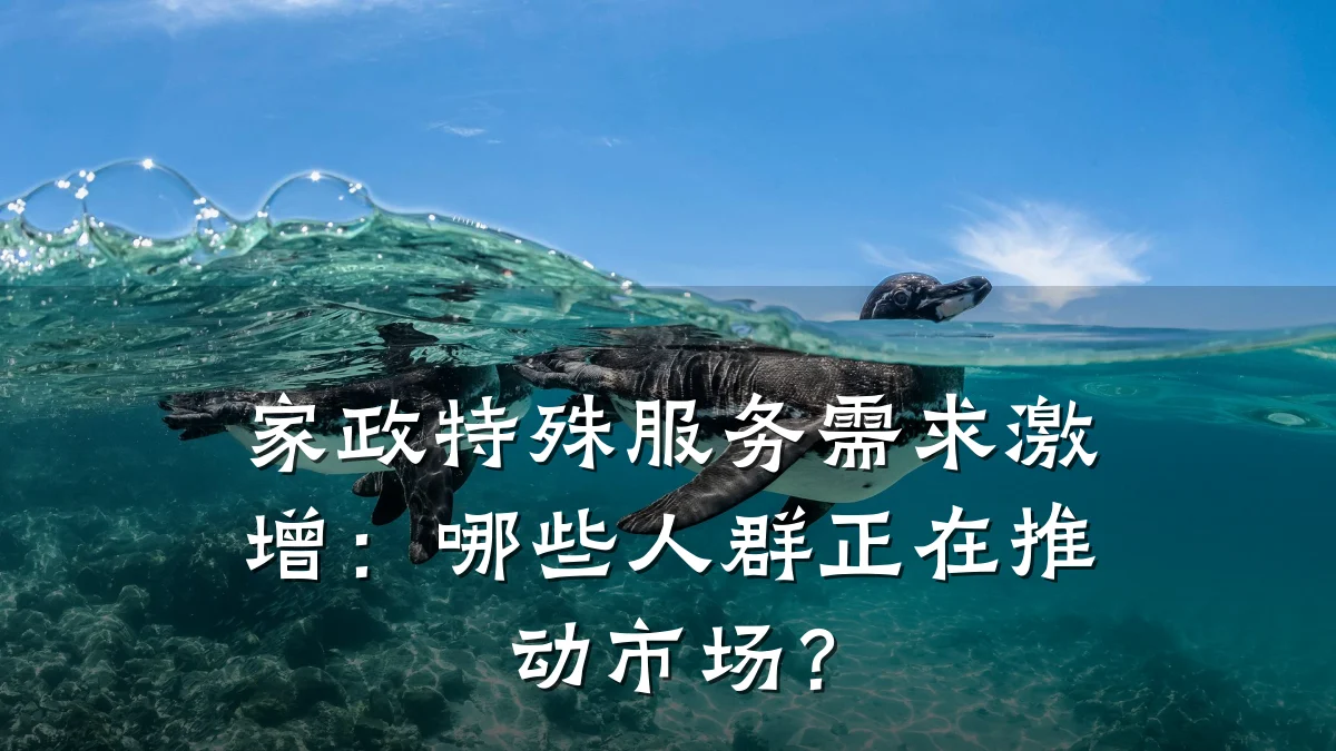 家政特殊服务需求激增:哪些人群正在推动市场?
