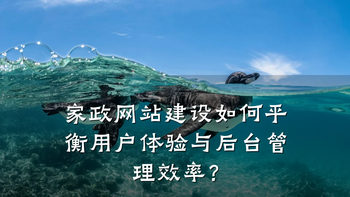 家政网站建设如何平衡用户体验与后台管理效率?