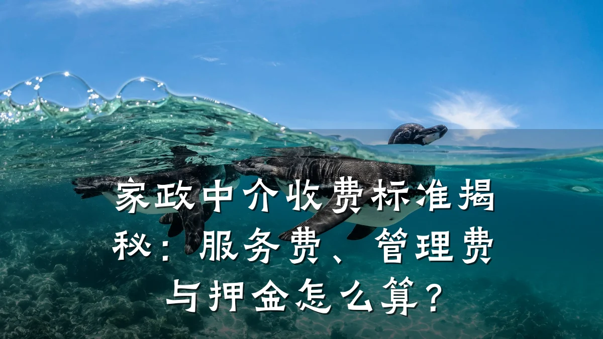家政中介收费标准揭秘：服务费、管理费与押金怎么算？