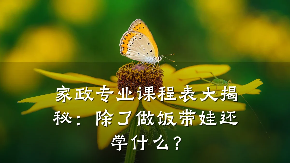 家政专业课程表大揭秘:除了做饭带娃还学什么?