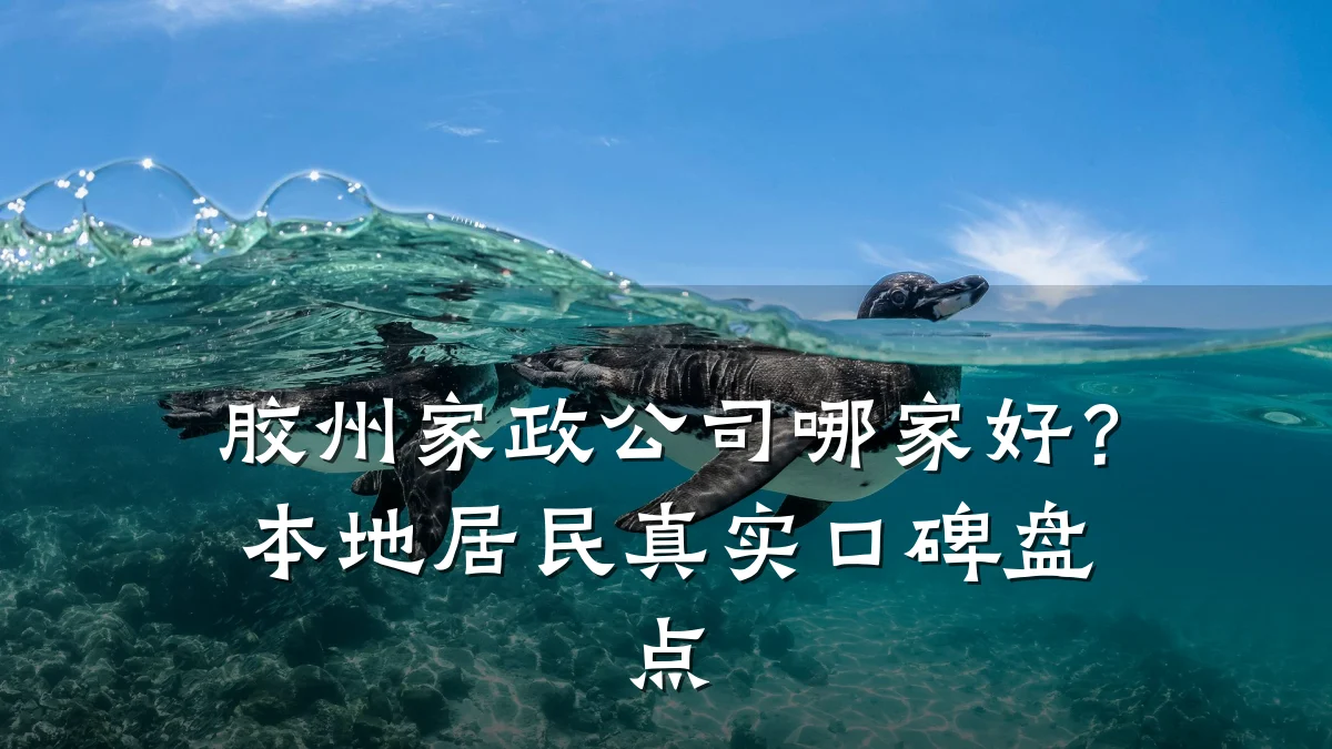 胶州家政公司哪家好?本地居民真实口碑盘点