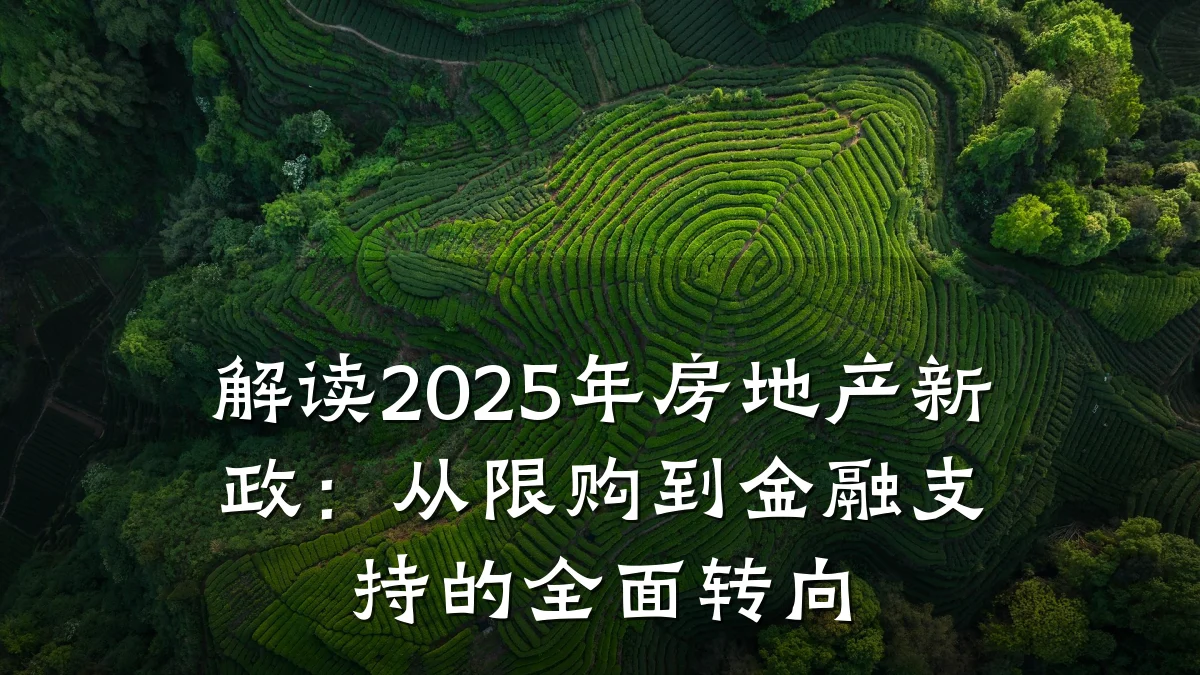 解读2025年房地产新政:从限购到金融支持的全面转向