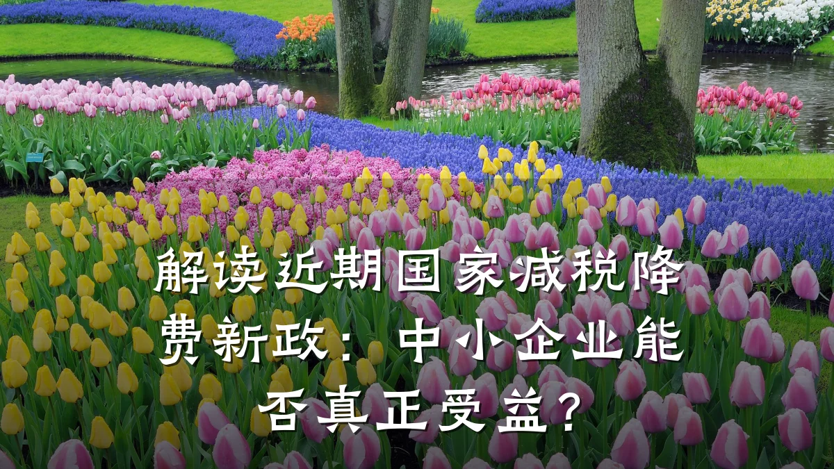 解读近期国家减税降费新政:中小企业能否真正受益?