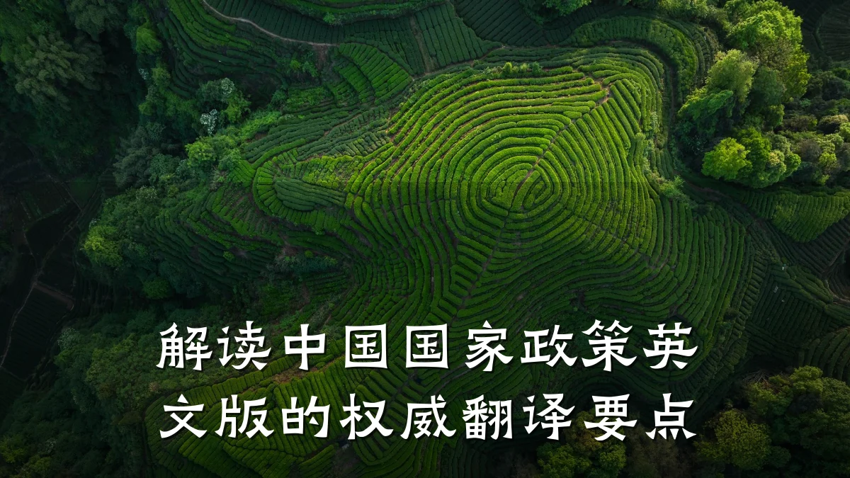 解读中国国家政策英文版的权威翻译要点